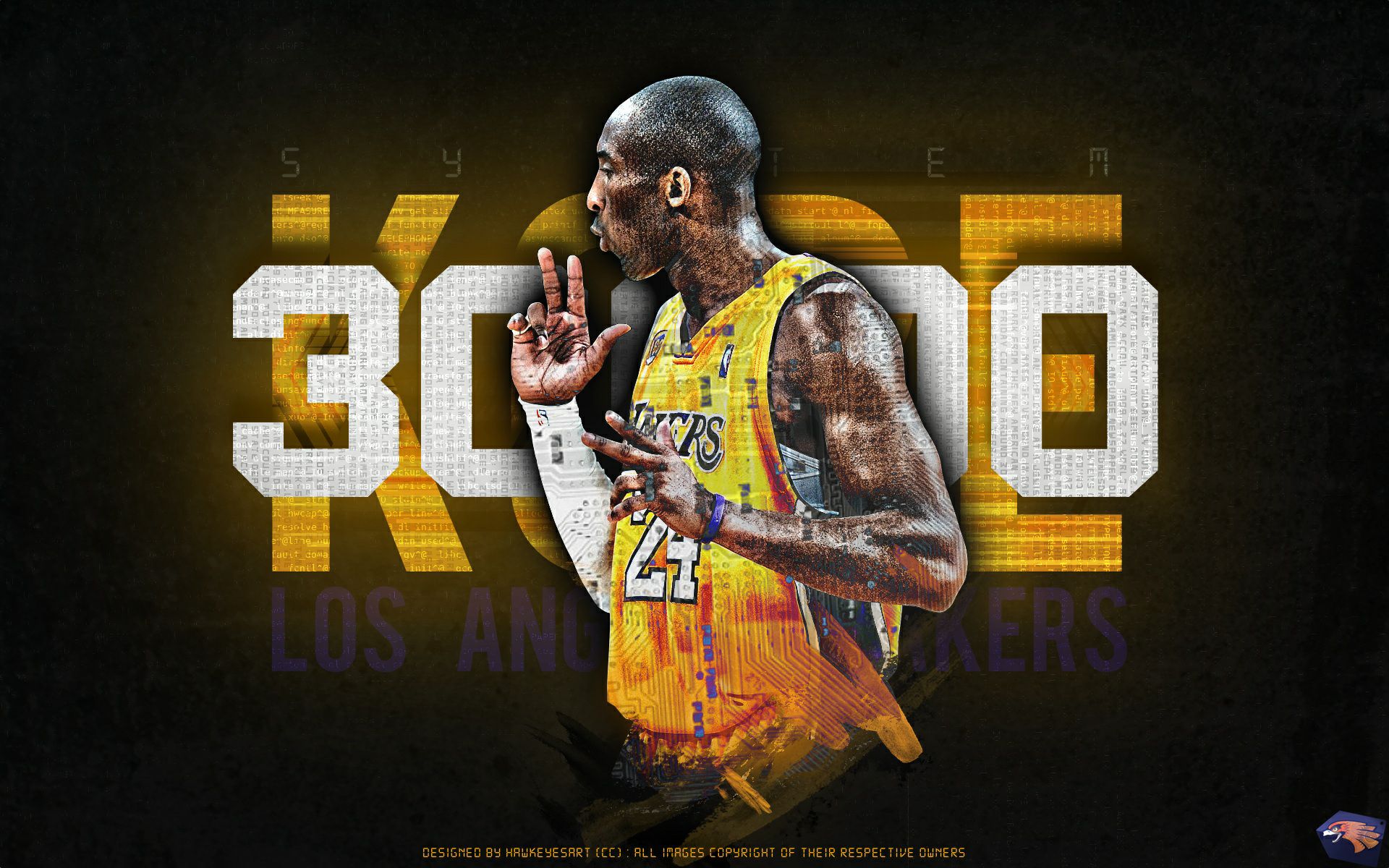 能够迅速做 能够迅速做